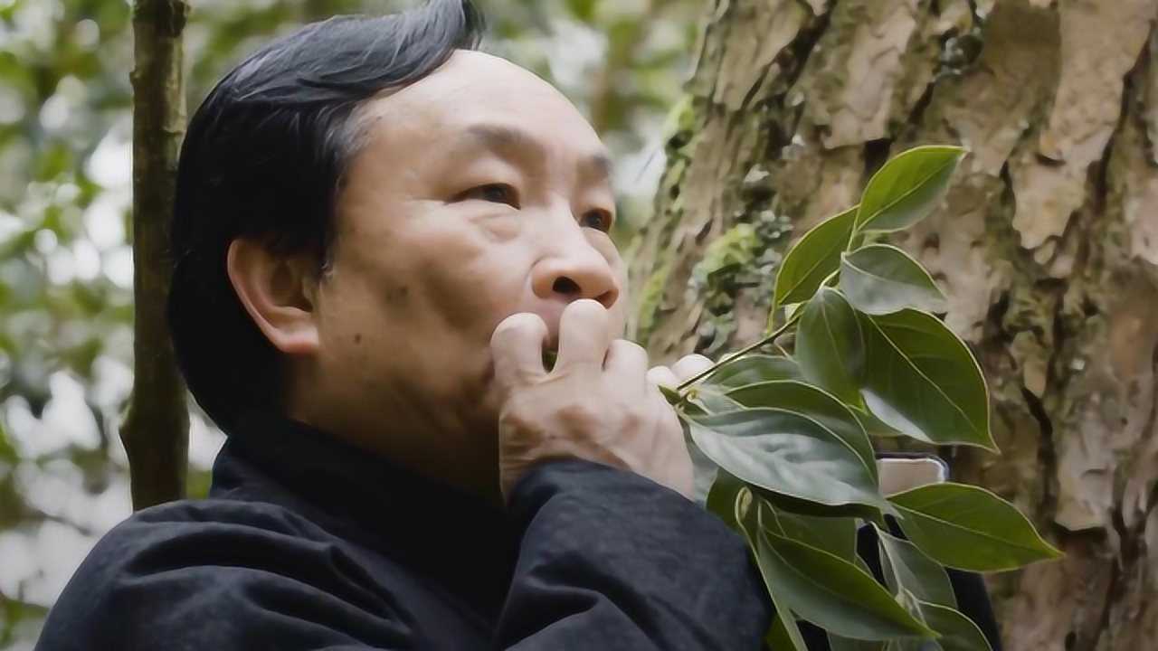 用普通树叶如何吹出美妙旋律 这种原生态吹叶绝技让世界赞叹