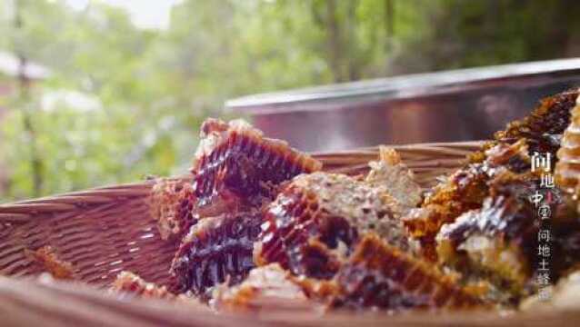 真正的好土蜂蜜是怎样的?三代养蜂人深山饲养中华野山峰的故事