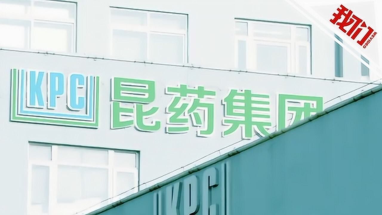 《我们视频》昆药集团回应双氢青蒿素试验:2026年上市 电话已被打爆
