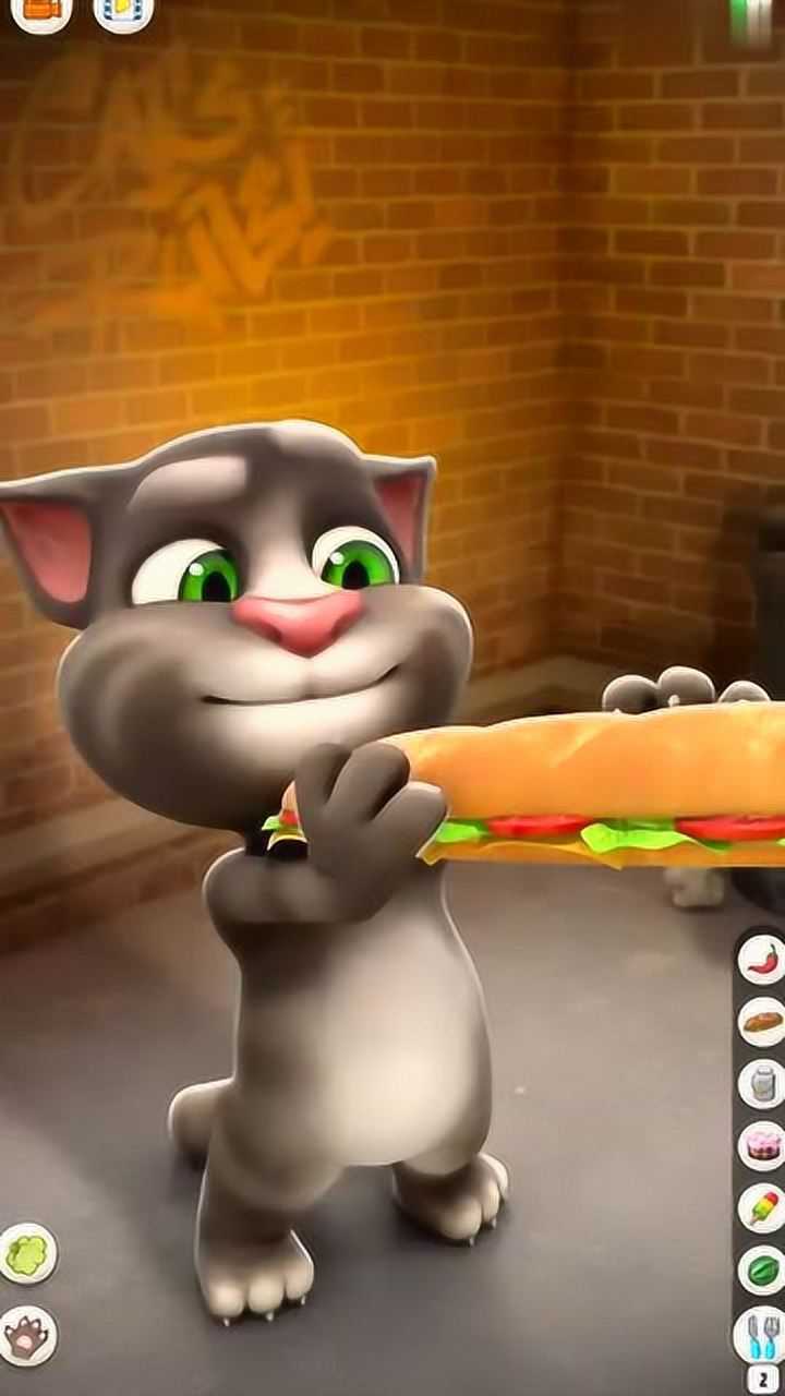 会说话的汤姆猫之汤姆猫吃汉堡包