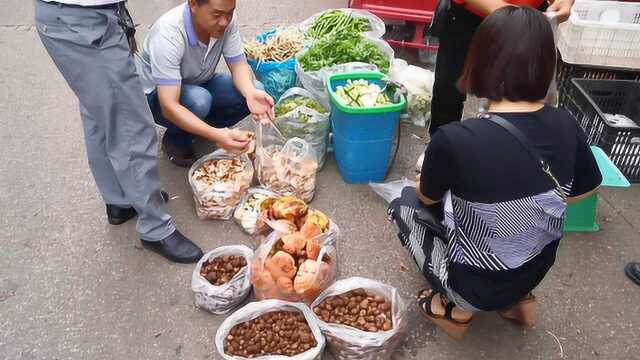 云南野生菌上市了,牛肝菌好多,这种圆圆的马皮泡有多少人吃过?