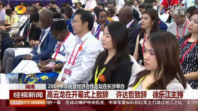 2019中非民营经济合作论坛在长沙举办