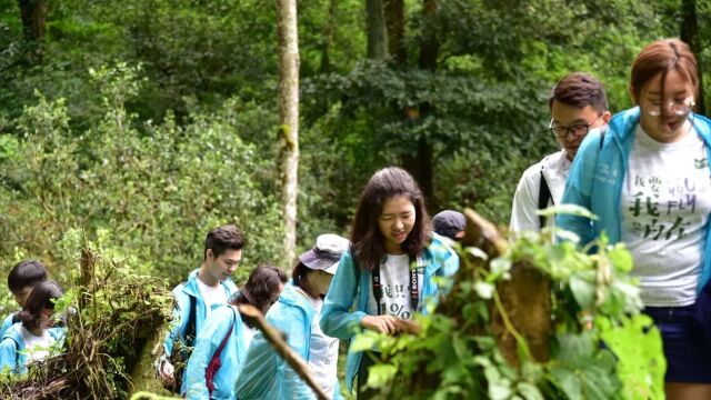 北大学子穿越茶山之旅