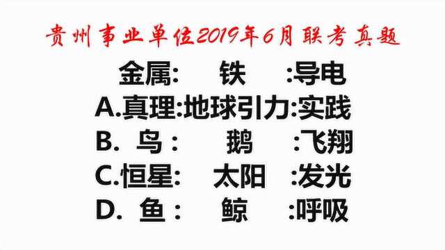 贵州2019真题,鲸鱼是鱼吗?鱼和鲸是什么关系