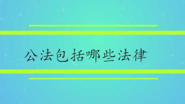 公法包括哪些社会法律