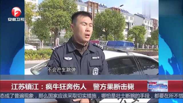 江苏镇江:疯牛狂奔伤人,警方果断击毙