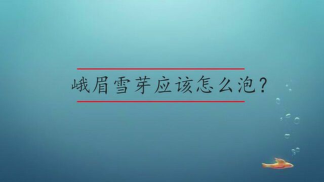 茶叶峨眉雪芽应该喝?