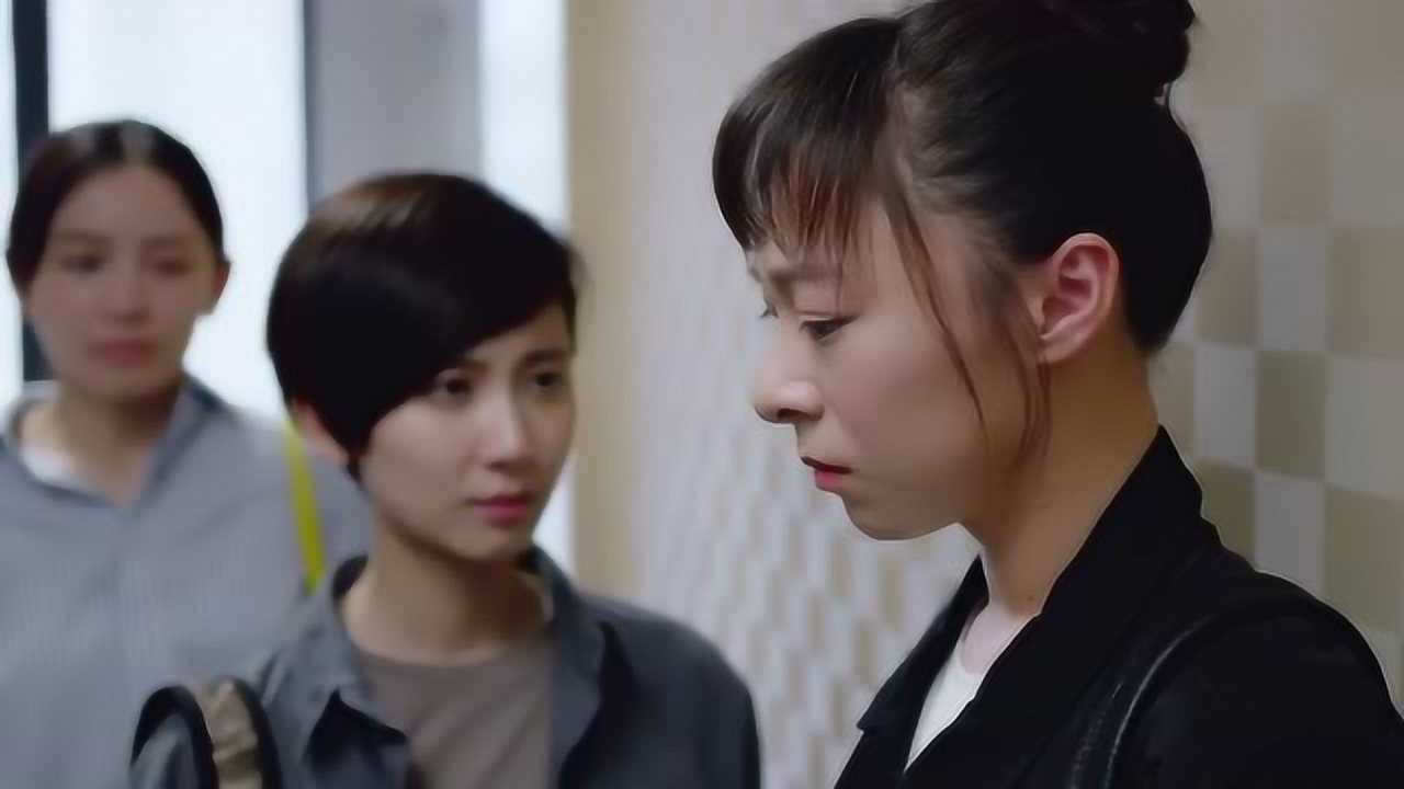 冷案电视剧第11集