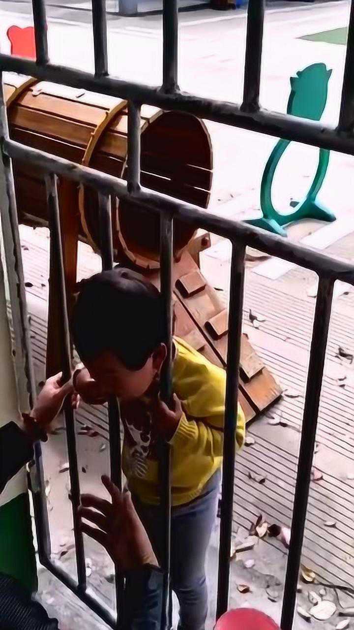 小家伙头被卡住了,出不来!