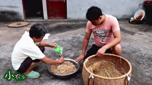 小农乡:70岁的奶奶教你做豆豉,又臭又香,炒上辣椒能吃3碗饭