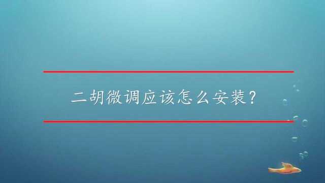 二胡微调应该怎么安装?