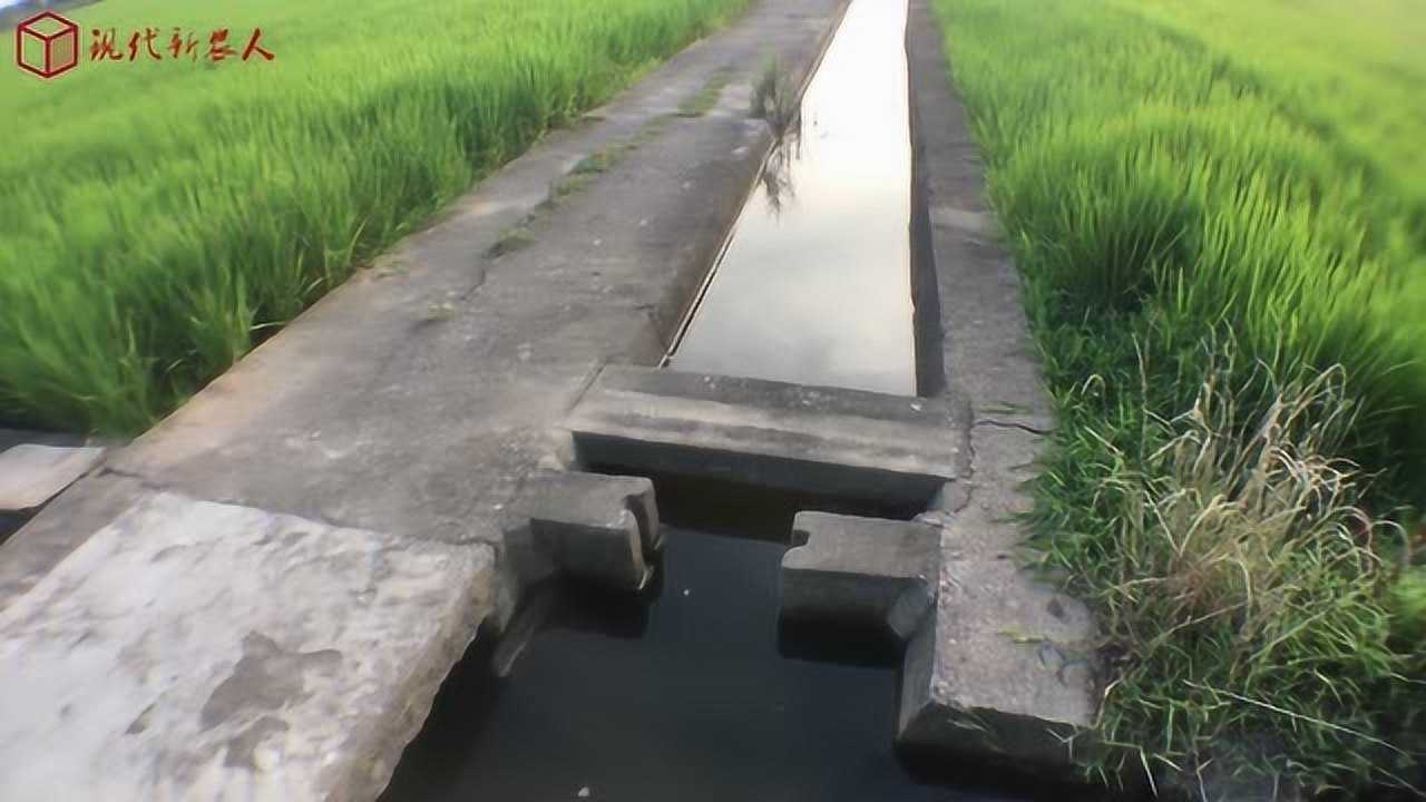 南方传统的大水漫灌方法，主要适用于水稻灌溉，北方人看着都心疼_高清1080P在线观看平台_腾讯视频