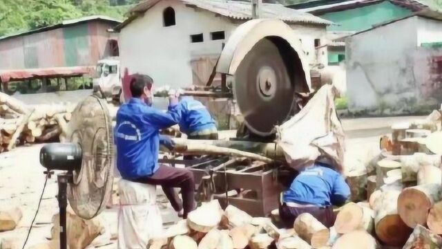 一次性筷子工厂实拍,难怪那么便宜,居然是这样生产!