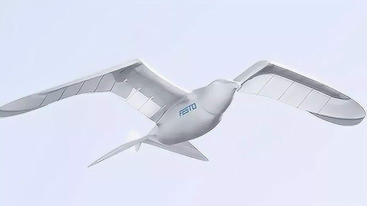 2019世界机器人大会超炫酷的仿生海鸥来了↓↓↓你能看出来它是机器