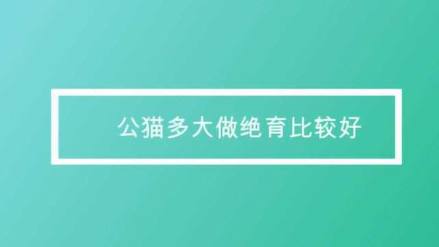 公猫多大做绝育比较好