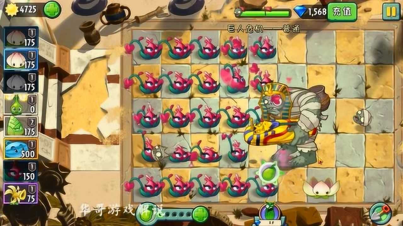 184华哥解说植物大战僵尸2巨人危机铃儿草投手