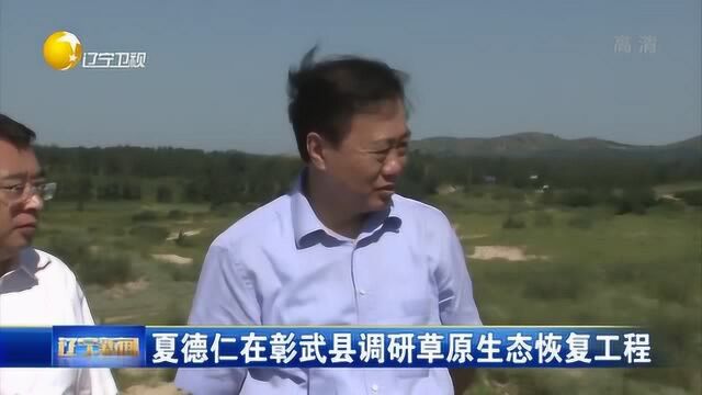 夏德仁在彰武县调研草原生态恢复工程