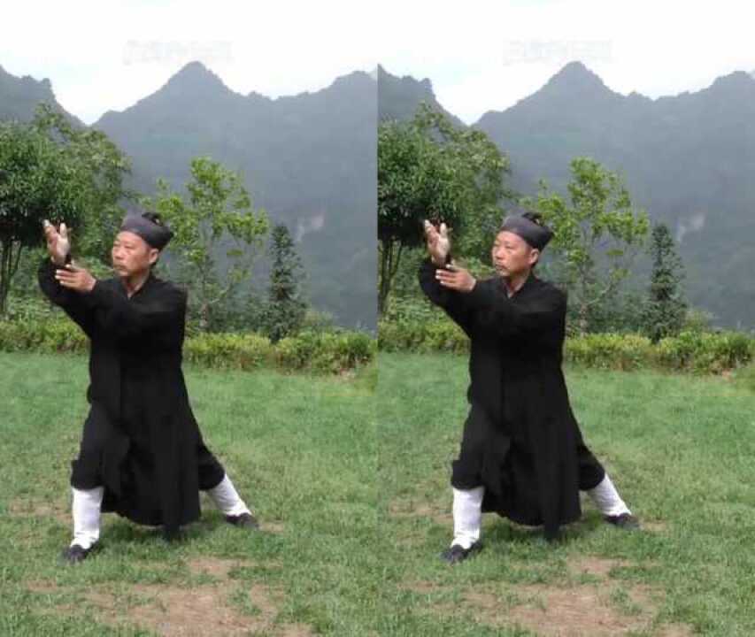 太极拳揽雀尾,弓步按掌,转体捋带,学习了