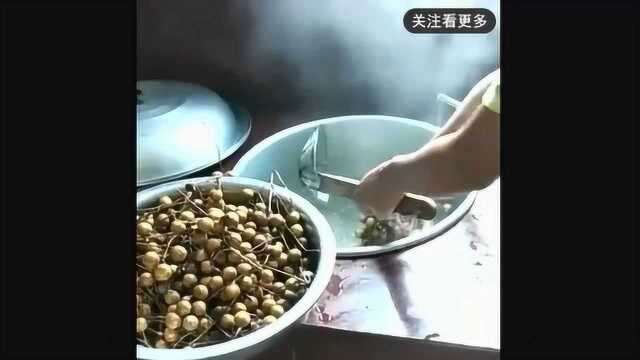 手把手教你做龙眼干!