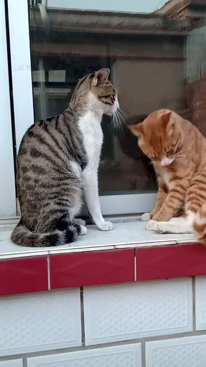 左右开弓,俩大嘴巴子