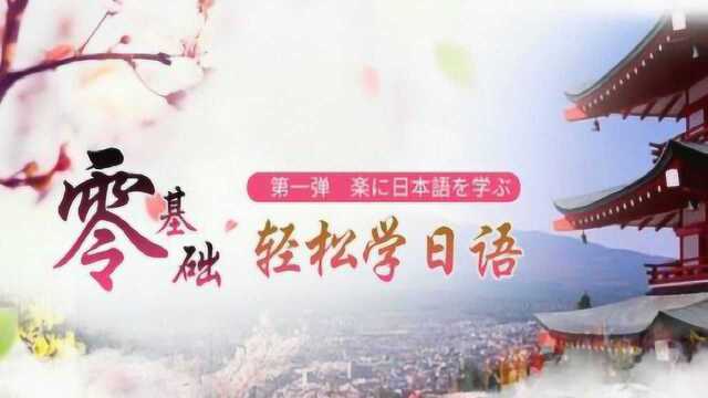 日语学习教程:标准日本语初级语法讲解零基础入门快速学