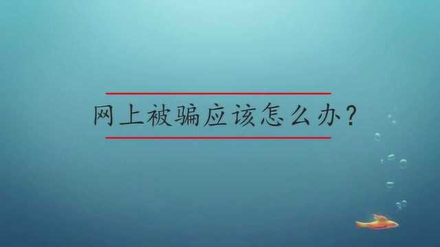 网上被骗应该怎么办?