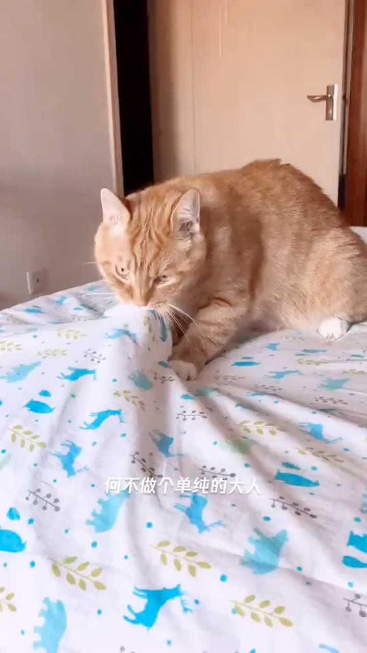 唉,我太难了……你太坏了,小可爱…瞅瞅