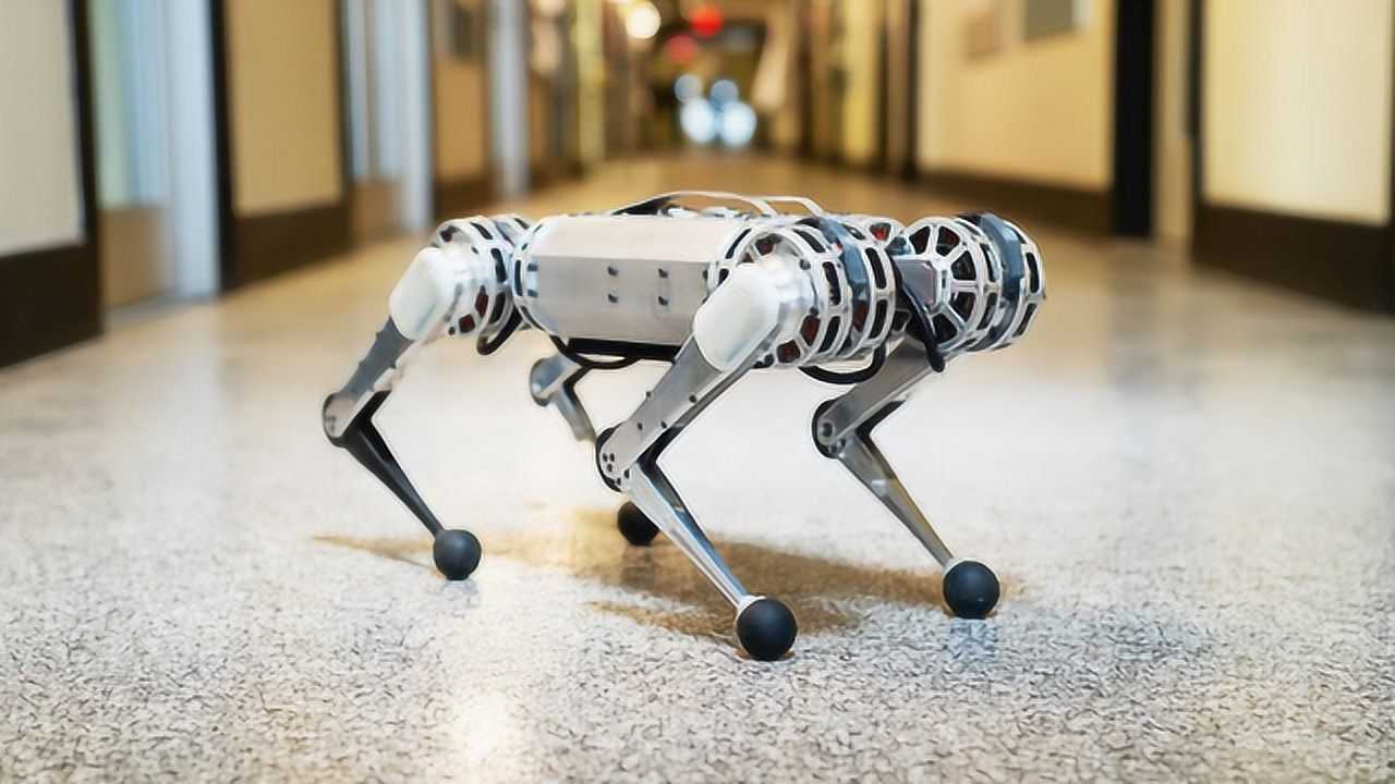 老外发明超牛猎豹机器人,只有20磅重,还能做后空翻!