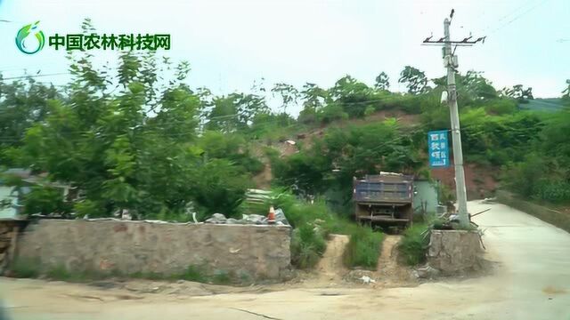 行驶甘肃省道205,夜宿成县小川镇,这一站目的地是西狭颂景区