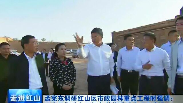 孟宪东调研时强调:以市民期盼为目标 加快推进重点项目建设