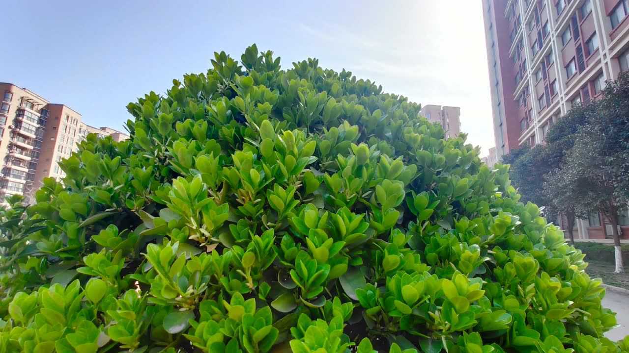 高清1080P在线观看平台_腾讯视频