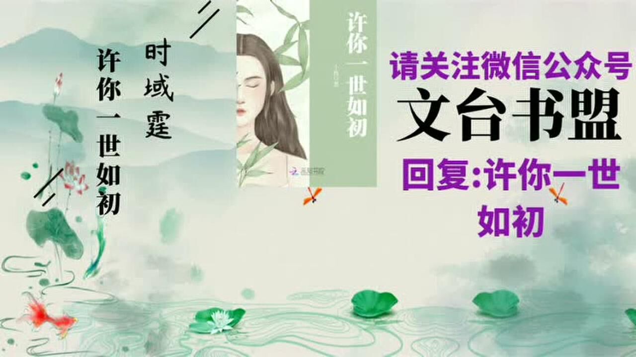 许你一世如初时域霆安如初小施全集全免