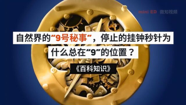 自然界的“9号秘事”,停止的挂钟秒针为什么总在“9”的位置?