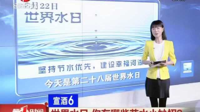 世界水日 坚持节水优先建设幸福河湖 你有哪些节水小妙招?