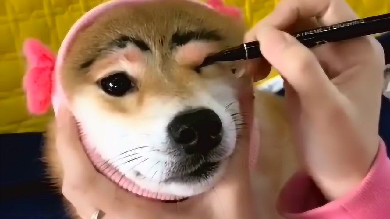 化妆终极摧毁版这姑娘长得眉清目秀太搞笑了
