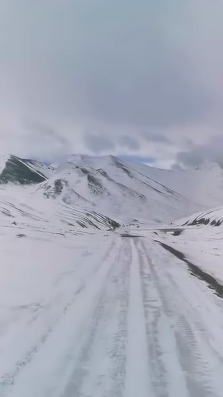 白茫茫的雪地