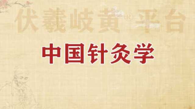 中国针灸学:23.眼针疗法—中医针灸学,学针灸,针灸培训学习公开课