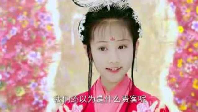 红楼梦经典再续,帅气宝玉再现神游太虚名场面,满屏小仙女