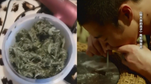 90后男子看美国电影后学吸大麻 买大麻种子种植失败后改买成品