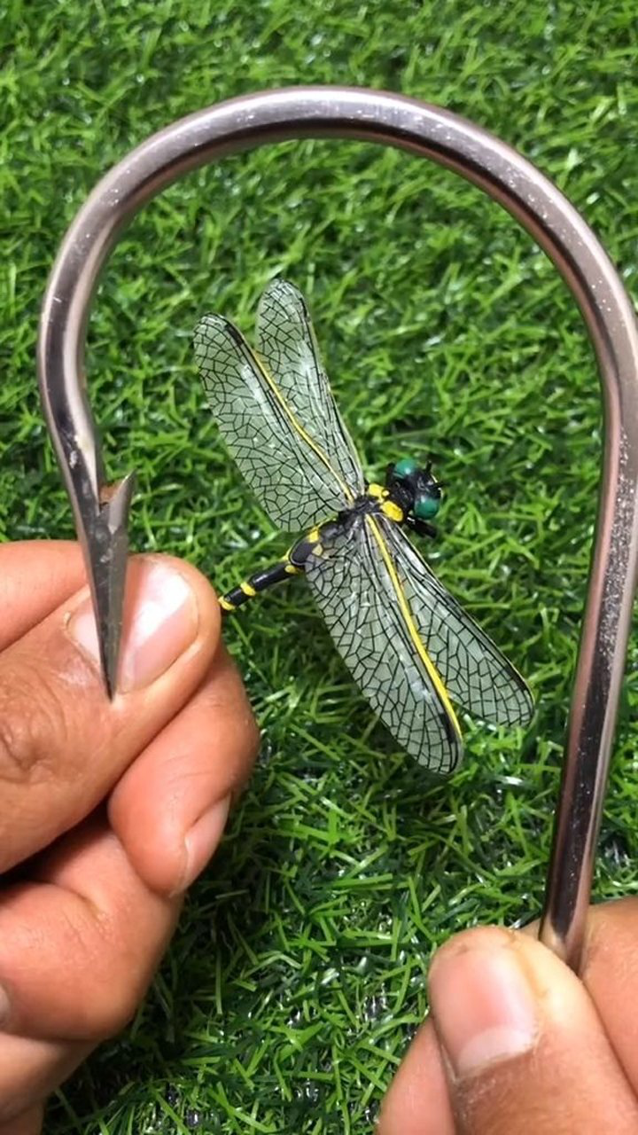 钓鲨鱼绑钩教程,你学会了吗