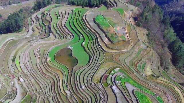 贵州梯田,一幅巨大的山水墨画,景色如同仙境一般美丽