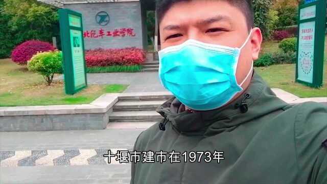 这么有才?把汽车文化融入休闲广场,周末休闲还挺好