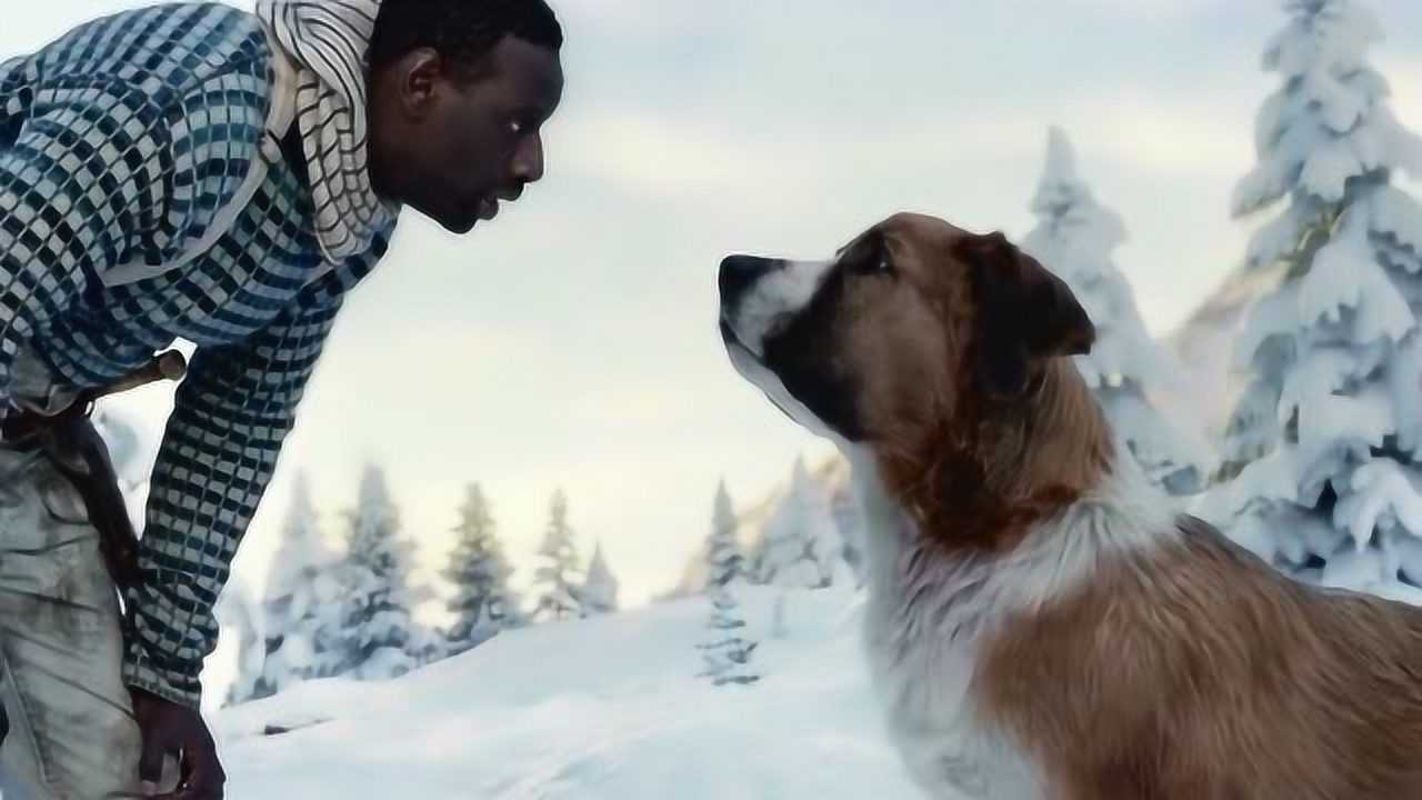 不是每一个狗子都能当老大!_腾讯视频