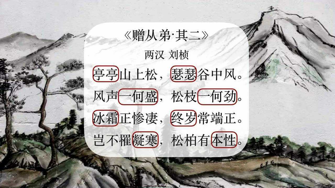 古诗赏析|记忆《赠从弟 其二》刘桢 写作范文 #写作技巧