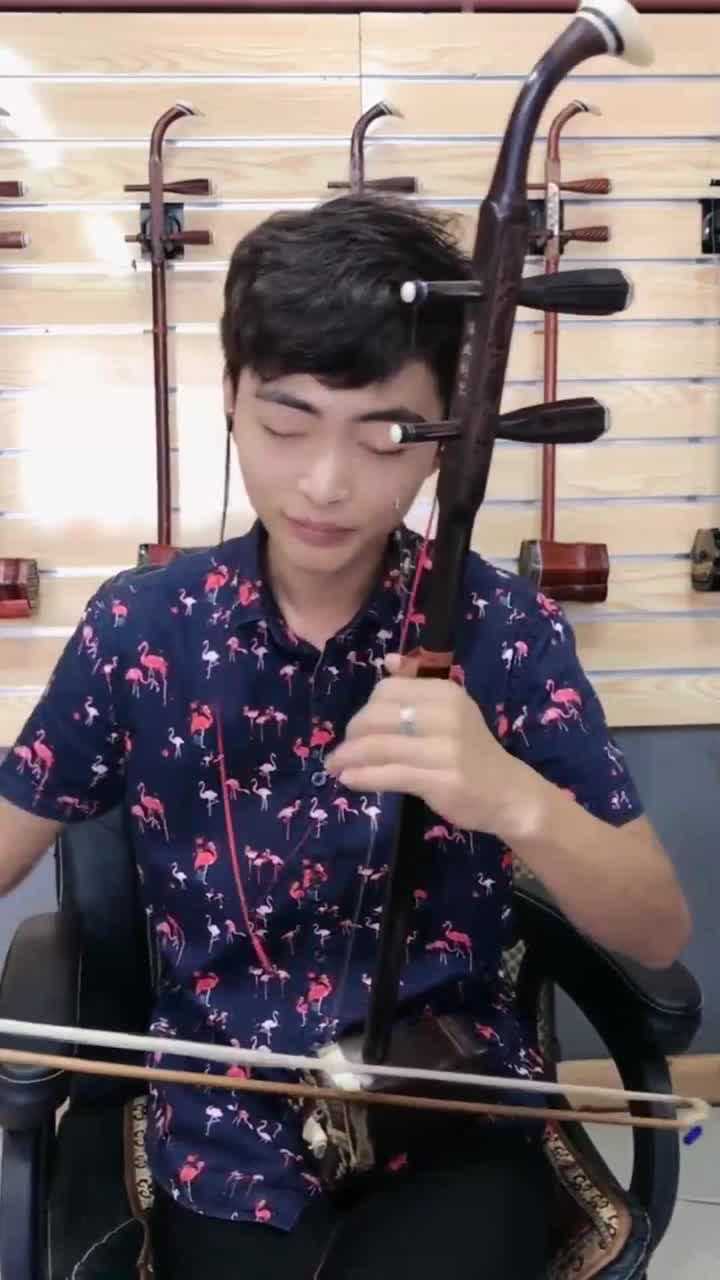 二胡演奏九九艳阳天亿万人的回忆
