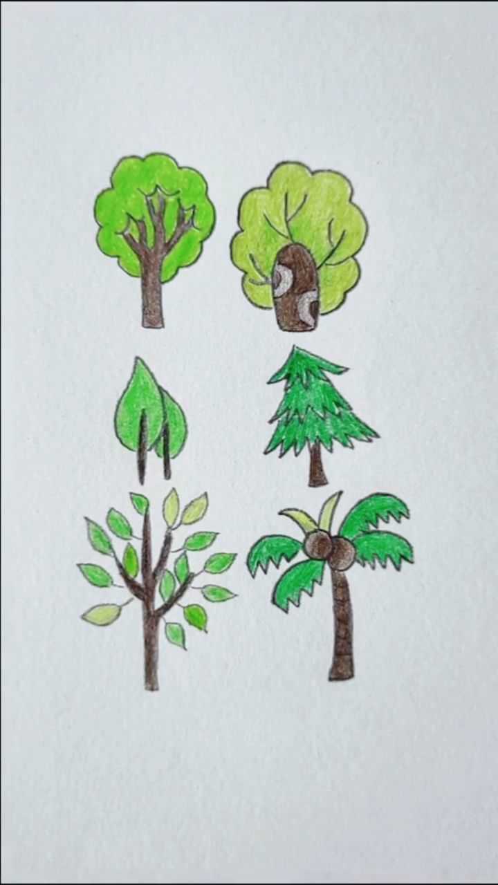 树的样子绘画图片