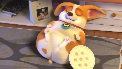 【飞狗moco】小可爱柯基,自拍三连不要钱