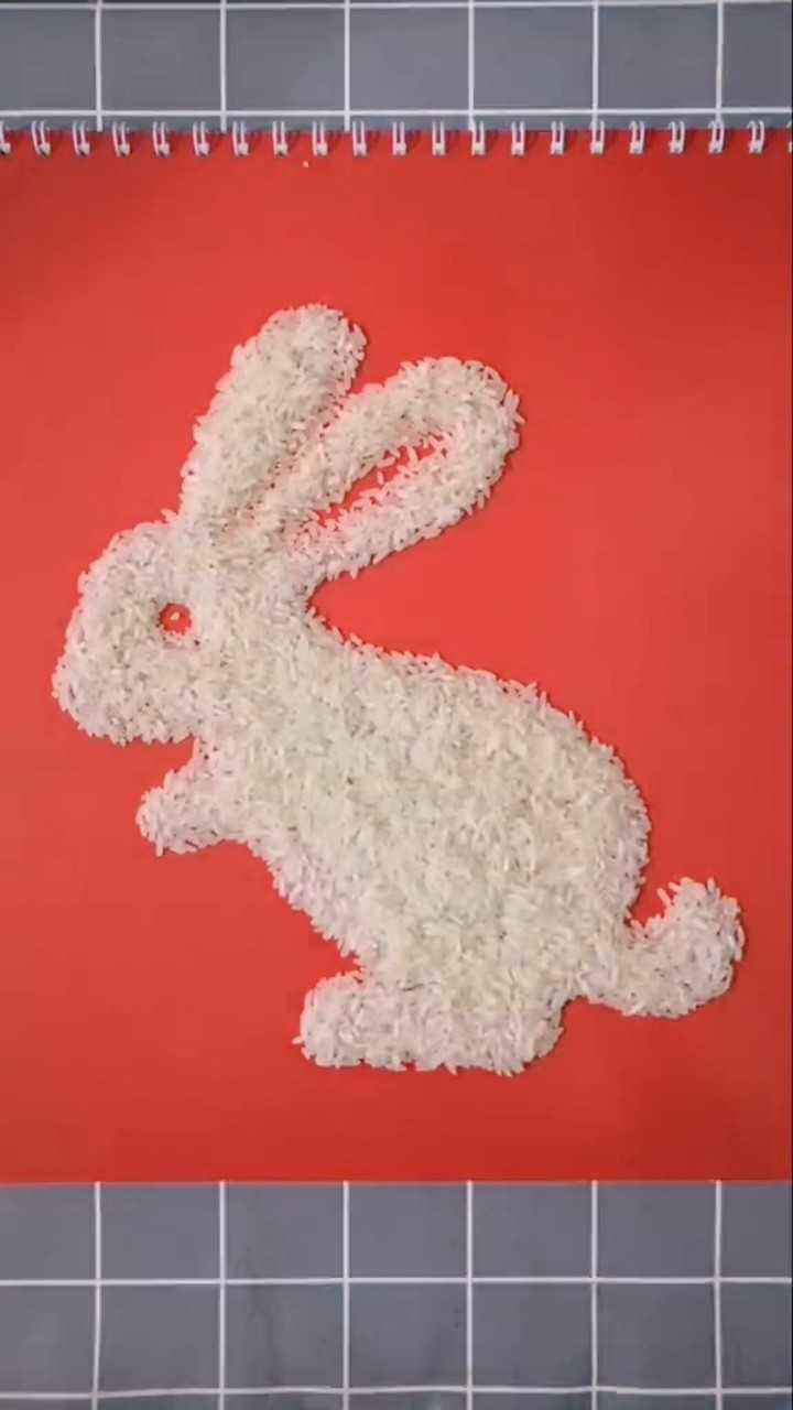 小白兔白又白,米粒堆个小可爱