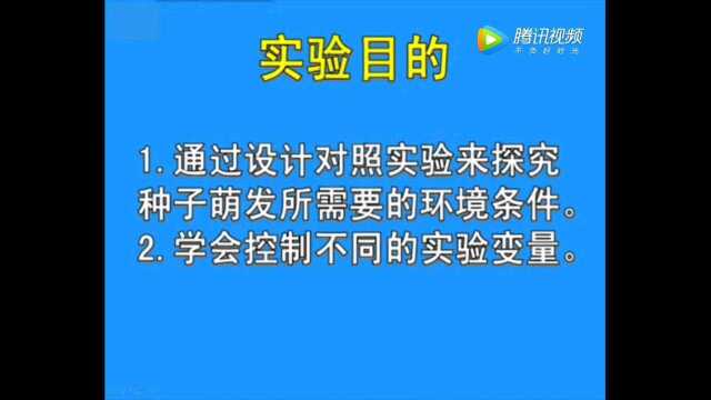 科学实验