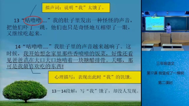 4.24三年级语文:17.我变成了一棵树